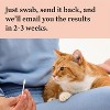 Wisdom Panel Breed Discovery Dog DNA Kit: Most Accurate Dog Breed Identification, Test for 365+ Breeds, MDR1 Health Test, Ancestry,Relatives - 3 of 4