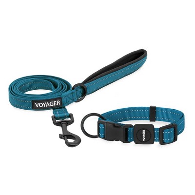 Voyager Adjustable Nylon Collar and Leash Combo for Dogs and Cats