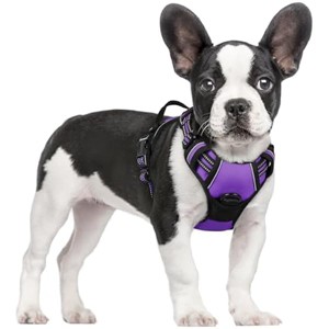 rabbitgoo Dog Harness No Pull with 2 Leash Clips, Control Handle for Small Dogs, Purple, S - 1 of 1