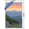 Trends International Lantern Press - Great Smoky Mountains Spring Flowers Framed Wall Poster Prints - 3 of 4