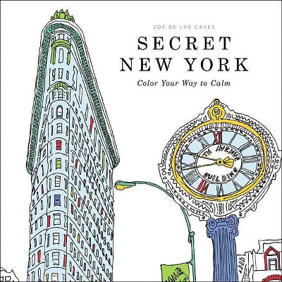 Secret New York - (Paperback)