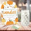 Big Dot of Happiness Little Pumpkin - How Many Candies Fall Birthday Party or Baby Shower Game - 1 Stand and 40 Cards - Candy Guessing Game - 2 of 4