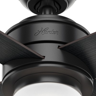 52" Matte Black Ceiling Fan with Globe Light and Wall Control