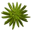 Nearly Natural 12-in Succulent Artificial Plant (Set of 6) - 2 of 2