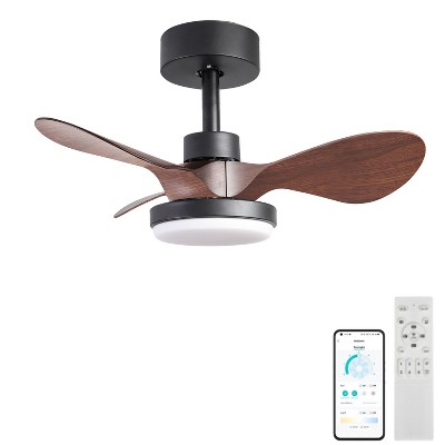 Duclsaty 24" Small Ceiling Fan with Light remote control ,brown Ceiling Fan, 6-Speeds Quiet Reversible DC motor for Bedroom,Kitchen