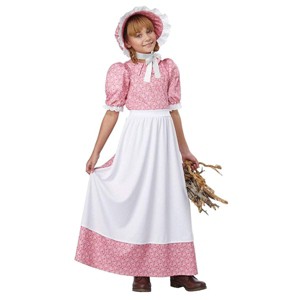 Early American Girl Child Costume - 1 of 1