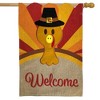 Briarwood Lane House Flag 40x28 For Outdoor Turkey Thanksgiving Burlap For Thanksgiving House Flag - 2 of 4