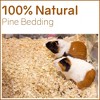 Continental Sleep, Premium Natural Pine Bedding for Small Indoor and Outdoor Pets, Dust Free, Soft Shavings, Kiln Dried & Heat Treated, Beige - 2 of 4
