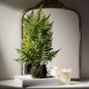 Sullivans Artificial Fern In Ball - 3 of 4