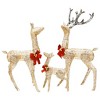 vidaXL Reindeer Family Christmas Decoration Gold 201 LEDs - 2 of 4