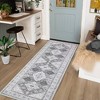 Vintage Distressed Rug Washable Area Rugs for Living Room Non-Slip Low Pile Carpet - 2 of 4