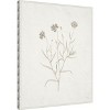 Amanti Art Plants from the Meadow V by Sarah Adams Canvas Wall Art Print Framed 23 x 28-in. - 3 of 4