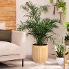 14.5 Inch Tall Planter Set of 2, Large Flower Pot with Water Monitoring Device and Hidden Wheels, Garden Pot for Living Room, Patio, Black - 2 of 4