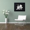 Trademark Fine Art - Kurt Shaffer 'Tuber Rose in Black and White' Matted Framed Art - 3 of 3