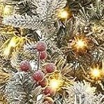 brown base-200 lights