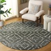 Adirondack ADR131 Non-Shedding Power Loomed Indoor Rugs - Safavieh - 2 of 4