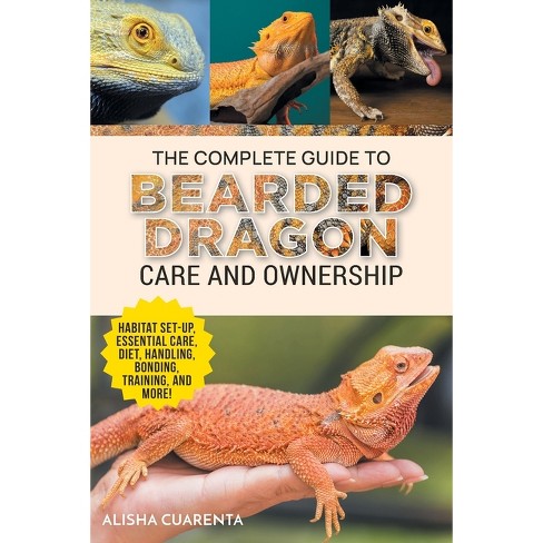 Black And Red Bearded Dragons: Habitat, Feeding Habits & Care Guide