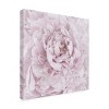 Trademark Fine Art - Cora Niele Pink Peony Flower Matted Framed Art - 2 of 4