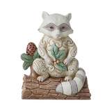 Jim Shore White Raccoon With Pinecone  -  One Figurine 3.75 Inches -  Heartwood Creek  -  6011619  -  Resin  -  Gray