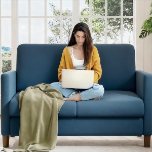52-Inch Teddy Fabric Loveseat, Wood Frame Small Couch with No Assembly Required for Living Room, Bedroom & Apartment - 1 of 1