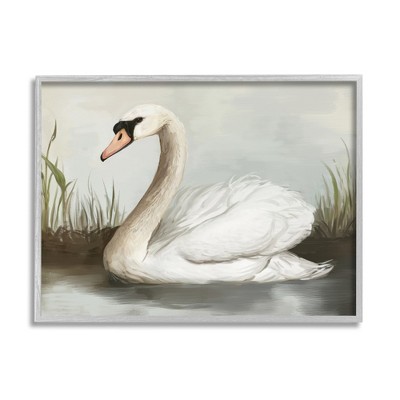 Stupell Industries Swan in Pond Painting Framed Giclee Art