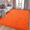 LOVEVOOK 6x9 Feet Area Rugs for Living Room Bedroom, Non-Slip Fluffy Soft Shag Rug, Plush Carpet for Home Dorm Decor Aesthetic - 4 of 4