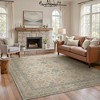 Abynow Medallion Distressed Persian Indoor Area Rug - 2 of 4