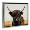 Stupell Industries Black Highland Cow Portrait Floating Frame Canvas Art, Gray, 21" x 17" - 2 of 4