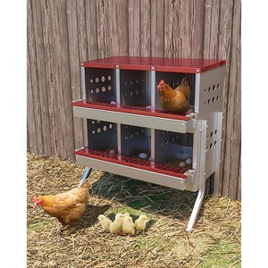 Red Metal Chicken Nesting Box, 6 Compartment Wall-Mountable Roll Away Design, Rustproof Waterproof Ventilated with Perch & Legs - 1 of 4