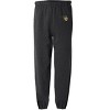 Lindenwood University Logovision Mens Primary Logo Jogger Sweatpants - 2 of 4