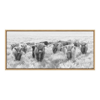 Herd of Highland Cows Black and White Canvas Print with Natural Frame
