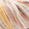 Lion Brand Pima Cotton Yarn - 2 of 2
