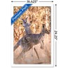 Trends International The Comedy Wildlife Photography Awards: Lara Mathews - Boing Framed Wall Poster Prints - 3 of 4