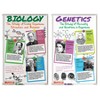 North Star Teacher Resources Scientists Bulletin Board Set - image 3 of 4