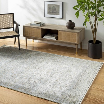 Hauteloom Rectangle Area Rug   Light Gray