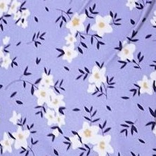 purple white flower