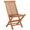 Holly Solid Teak Folding Chair Indoor/Outdoor (Set Of 2) - PAT6503 - Natural - Safavieh - 4 of 4