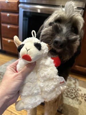 Guest review image 2 of 2, zoom in