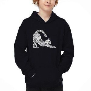 LA Pop Art Stretching Cat - Boy's Word Art Hooded Sweatshirt - 1 of 4