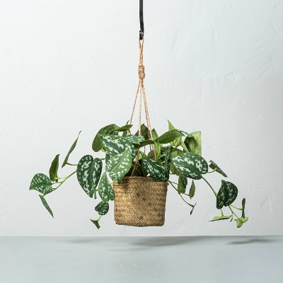 Faux Variegated Pothos Leaf Hanging Plant - Hearth & Hand™ with Magnolia