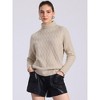 Allegra K Women's Long Sleeve Ribbed Stretch Winter Pullover Outwear High Neck Sweater - 4 of 4