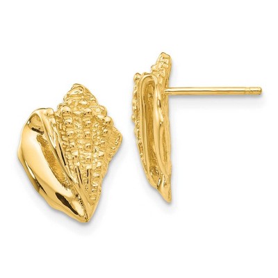 Black Bow Jewelry Textured Conch Shell Post Earrings in 14k Yellow Gold