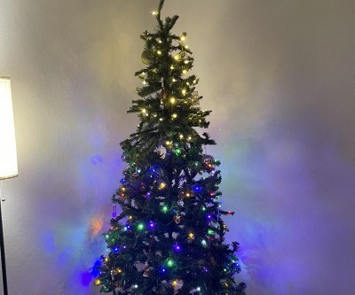 Guest review image 2 of 2, zoom in