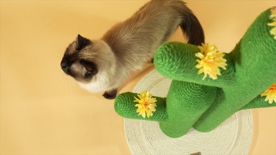 Socorro 34.25" Green Jute Double-Cactus Cat Scratching Post with Flower Toys
