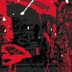 clear push pins bundle