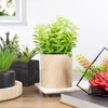 Northlight Artificial Privet Plant with Faux Marble Pot - 8.5" - Green - 2 of 4