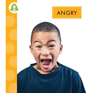 Angry - by  Alissa Thielges (Paperback) - 1 of 1