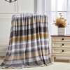 Plazatex Brea Micro plush Decorative All Season Multi Color 50" X 60" Throw Blanket - 2 of 3