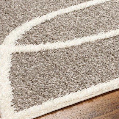 Hauteloom Gilon Taupe Plush Area Rug