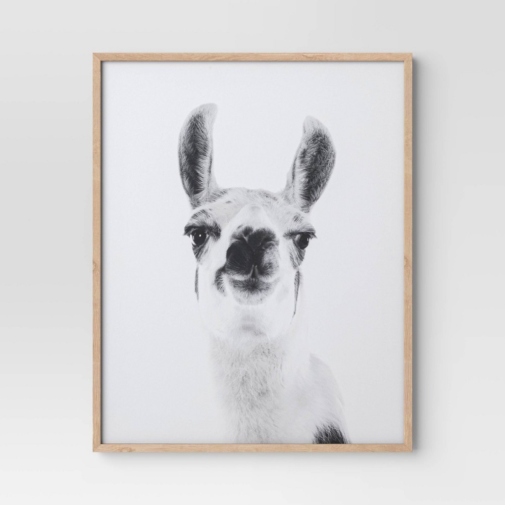 Photos - Other interior and decor 16"x20" Alpaca Framed Dorm Wall Art - Room Essentials™